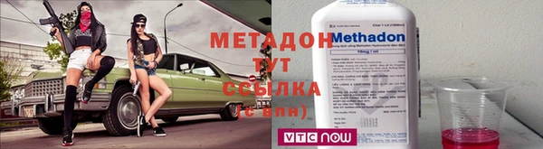 стаф Алексин