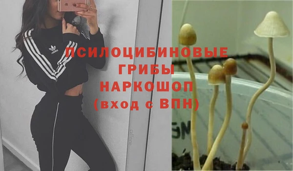 стаф Алексин