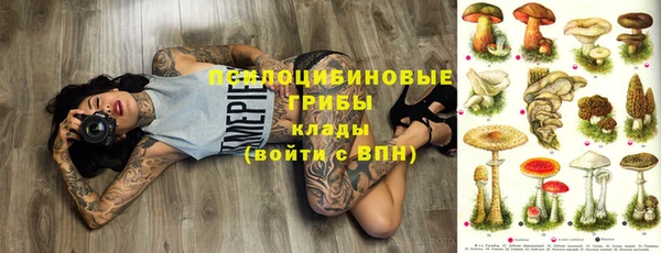 стаф Алексин