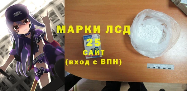 стаф Алексин