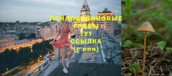стаф Алексин