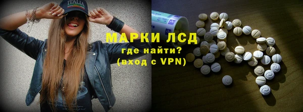 стаф Алексин