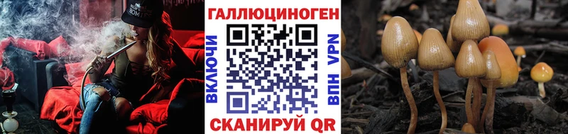Псилоцибиновые грибы GOLDEN TEACHER  Березники 